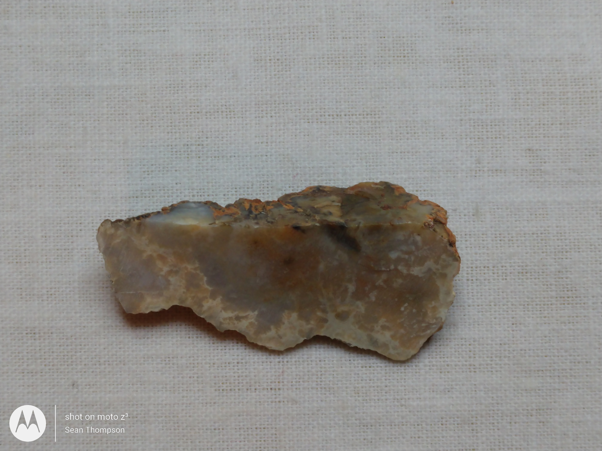 Coprolite FS-00006-01