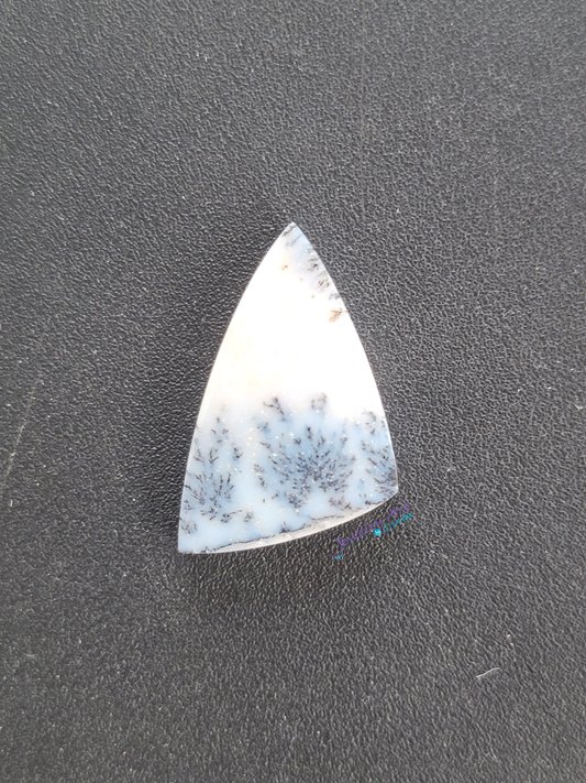 Opalized Dendrite Agate AG-x-x-00139