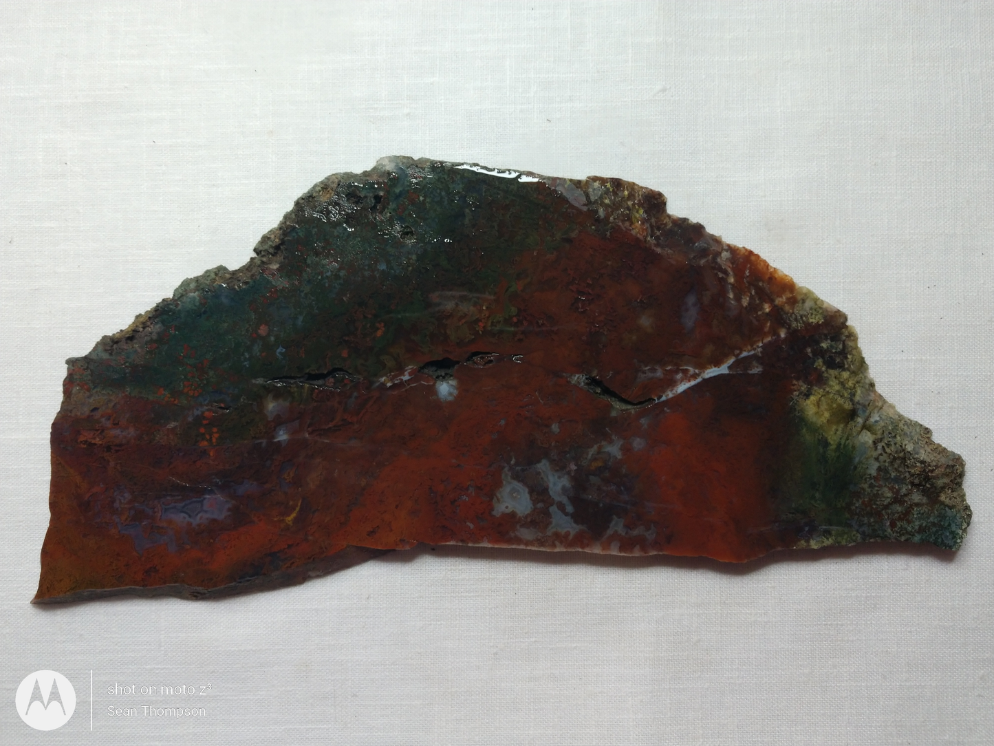 Holt Canyon Moss Agate HC-Bob-x1-00016