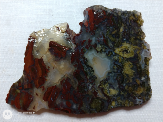 Holt Canyon Agate HC-00012-15