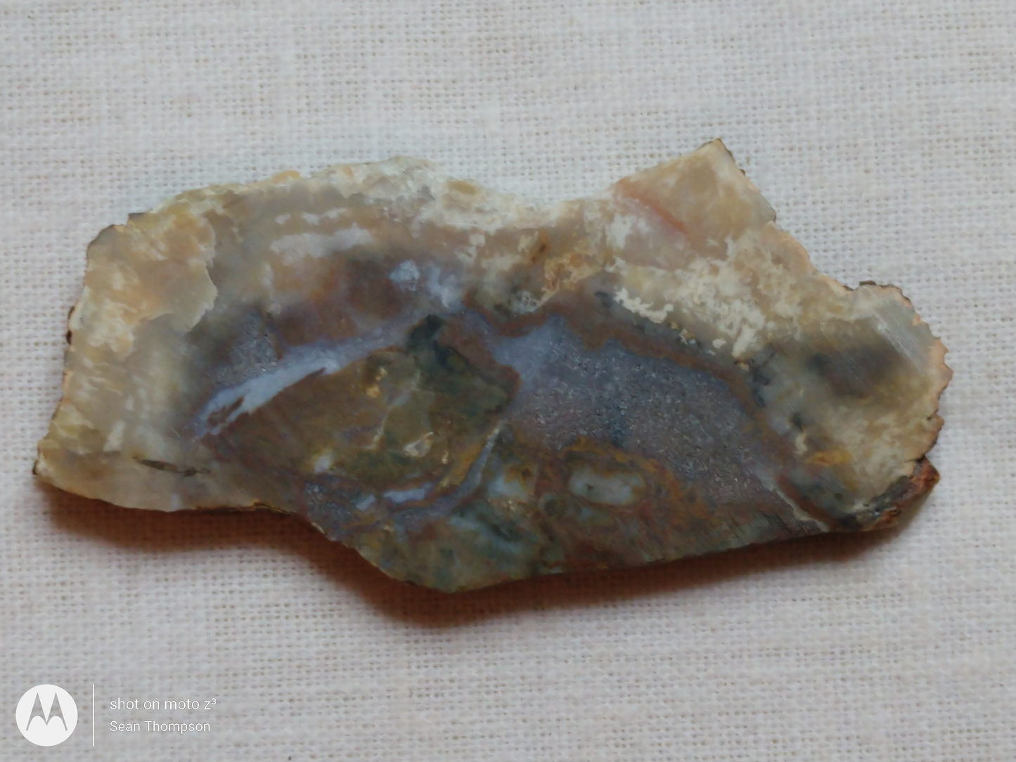 Coprolite FS-00006-08