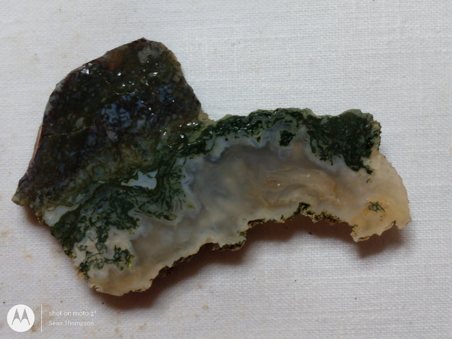 Holt Canyon Moss Agate HC-00014-03