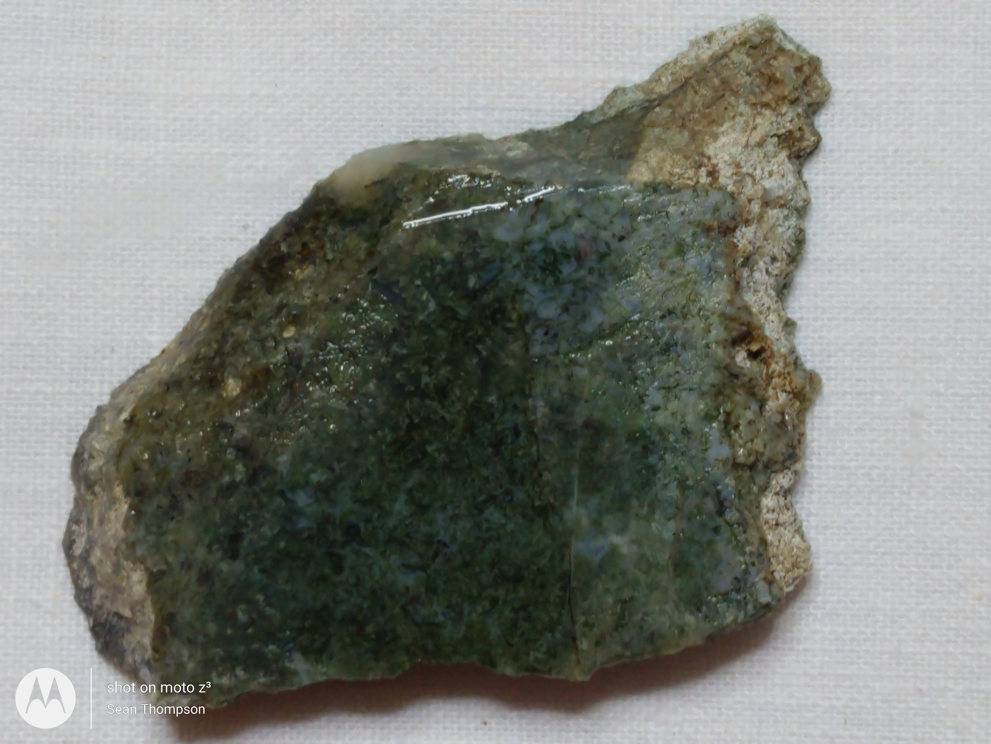 Holt Canyon Moss Agate HC-00013-01