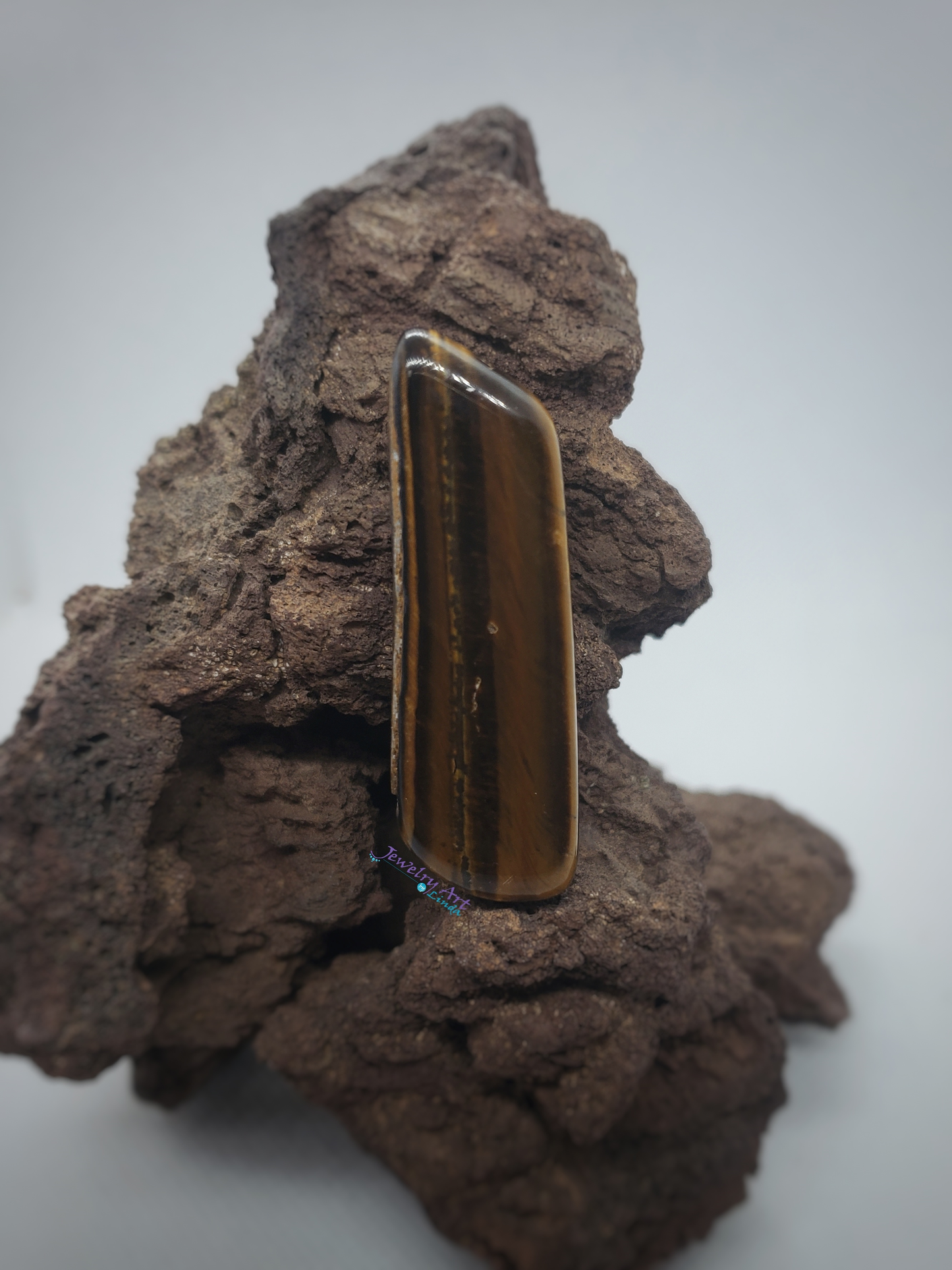 Tigers eye OT-x-x-00076