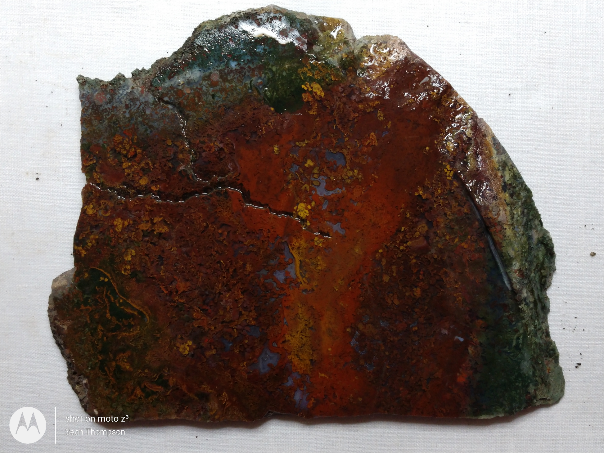 Holt Canyon Moss Agate HC-Bob-x1-00036