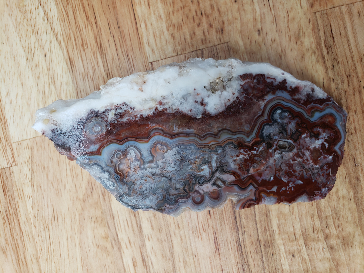 Laguna Lace Agate AG-x-00023