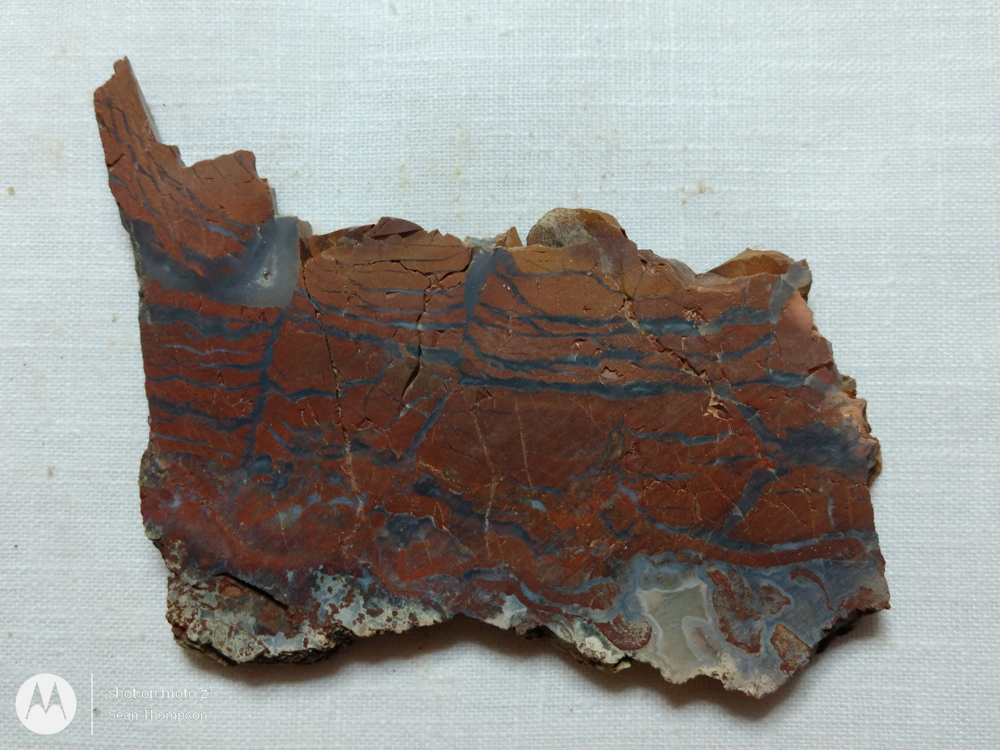 Holt Canyon Agate HC-00012-11