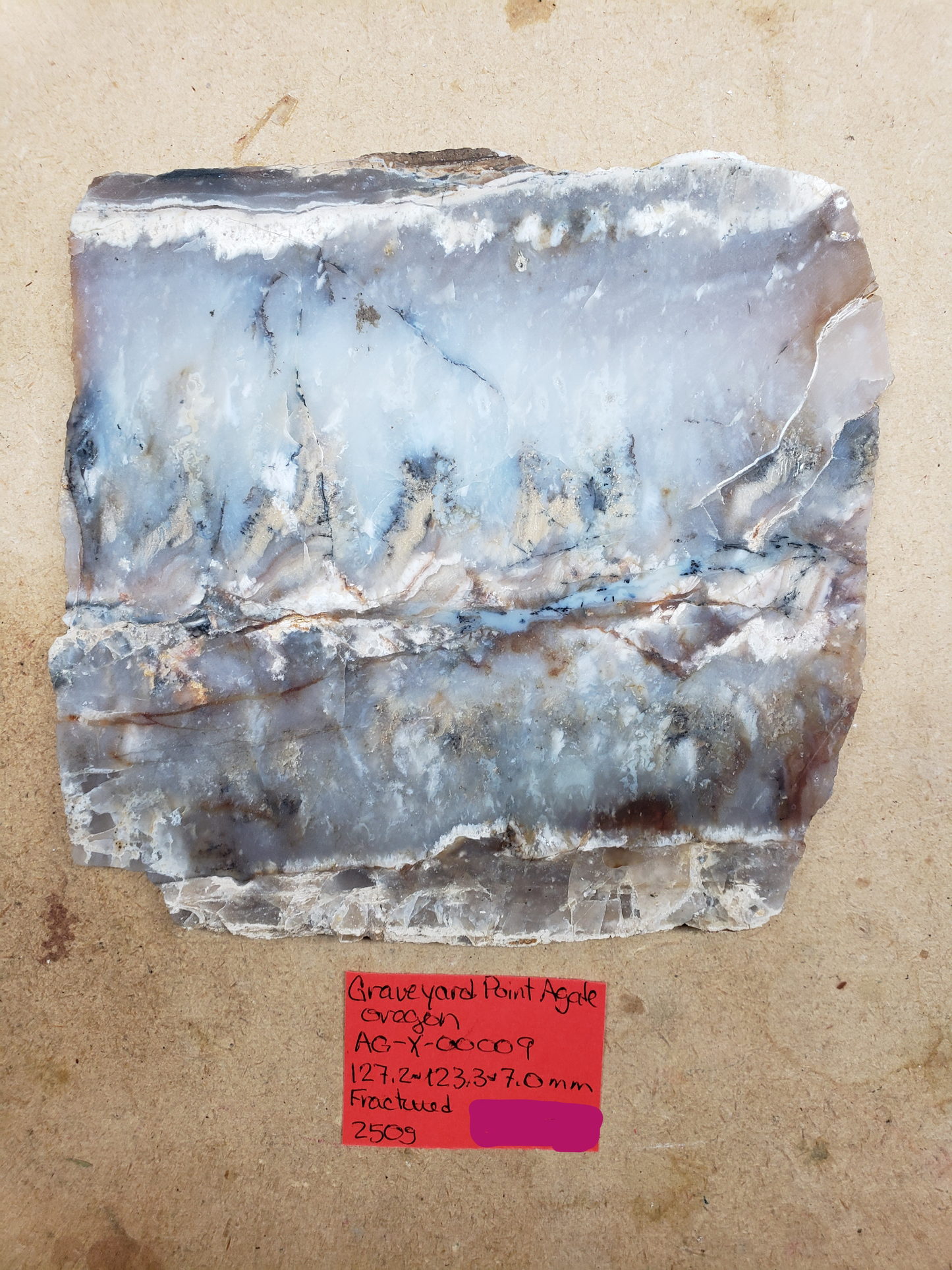 Graveyard Point Plume Agate AG-x-00009