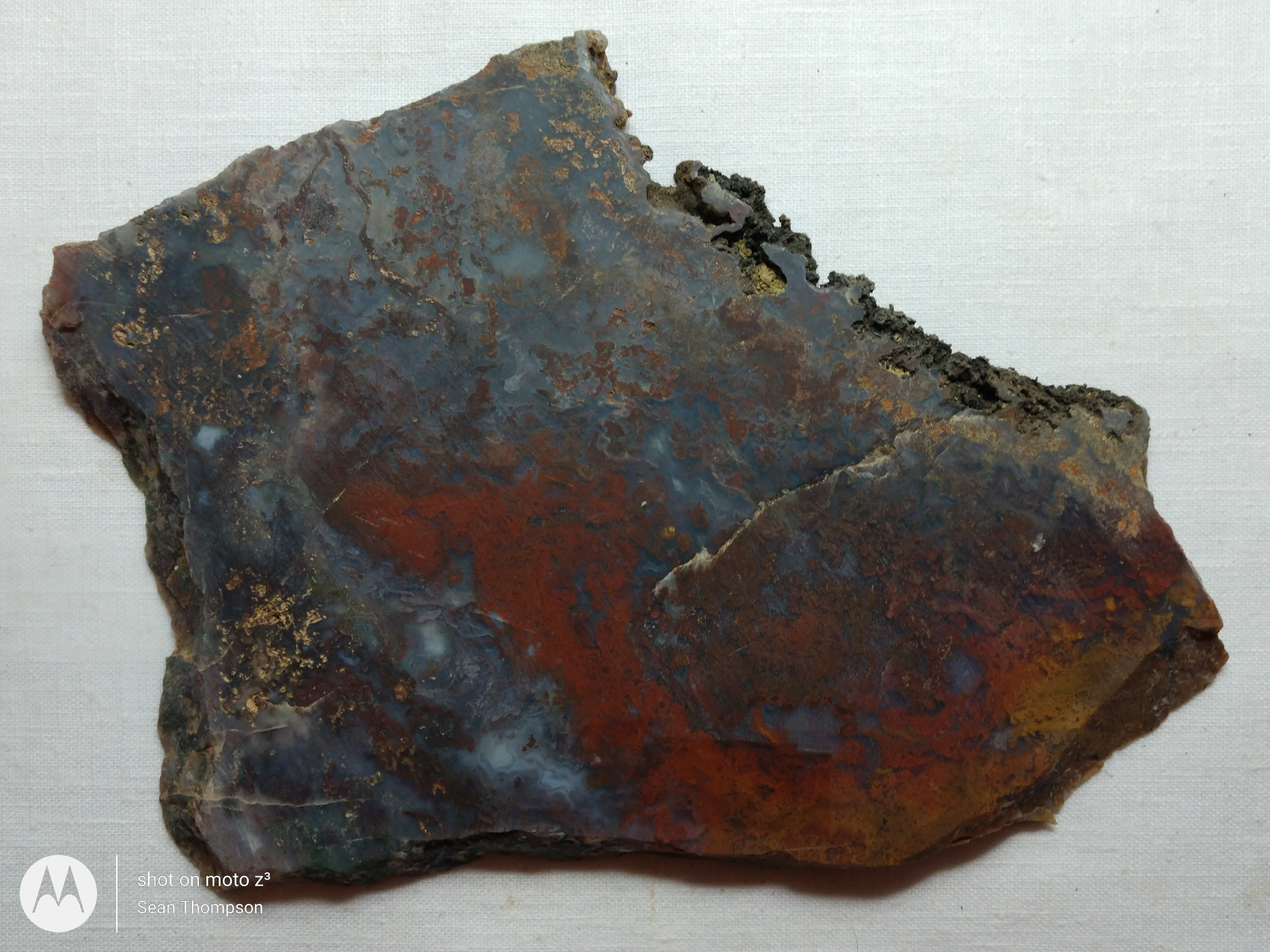 Holt Canyon Moss Agate HC-Bob-x1-00011