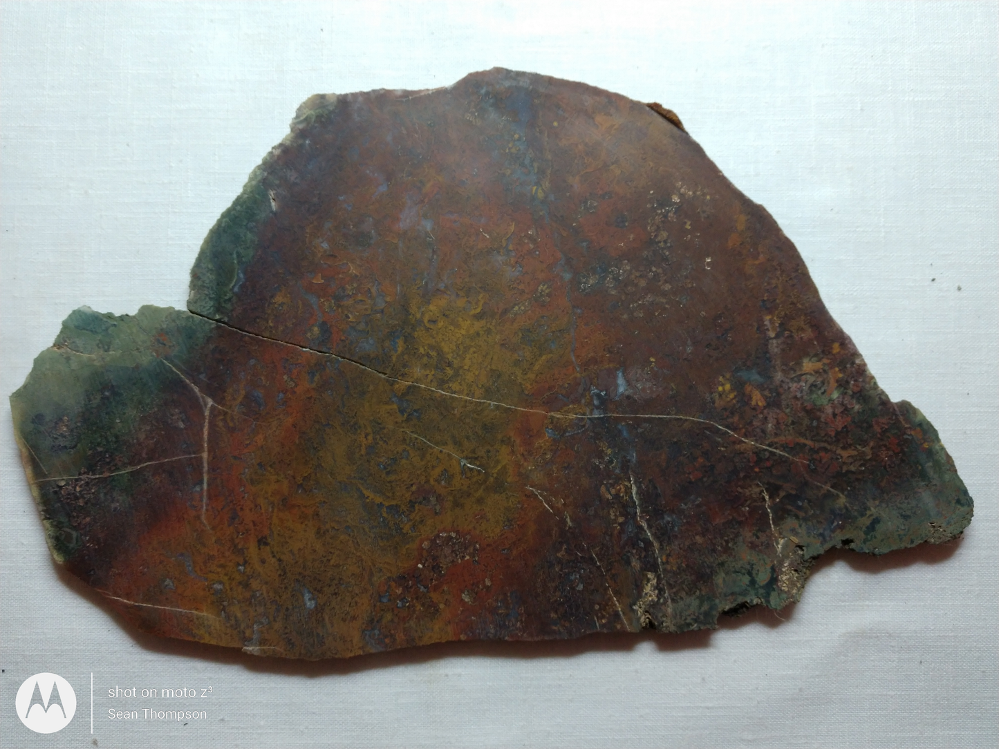 Holt Canyon Moss Agate HC-Bob-x1-00009