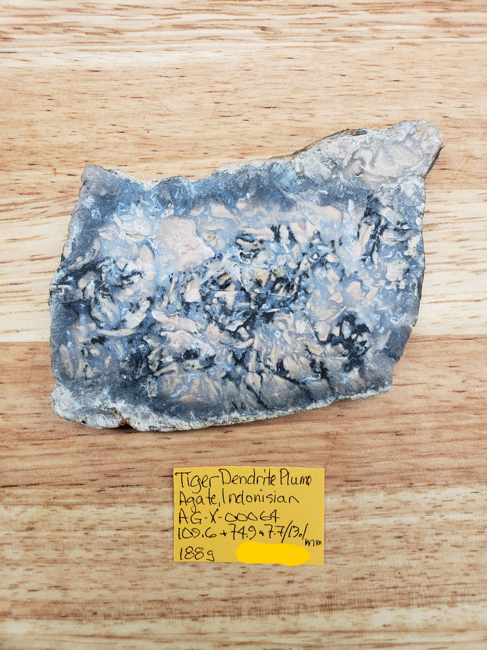 Tiger Dendrite Plume Agate AG-x-00064