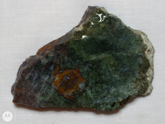 Holt Canyon Moss Agate HC-00013-02