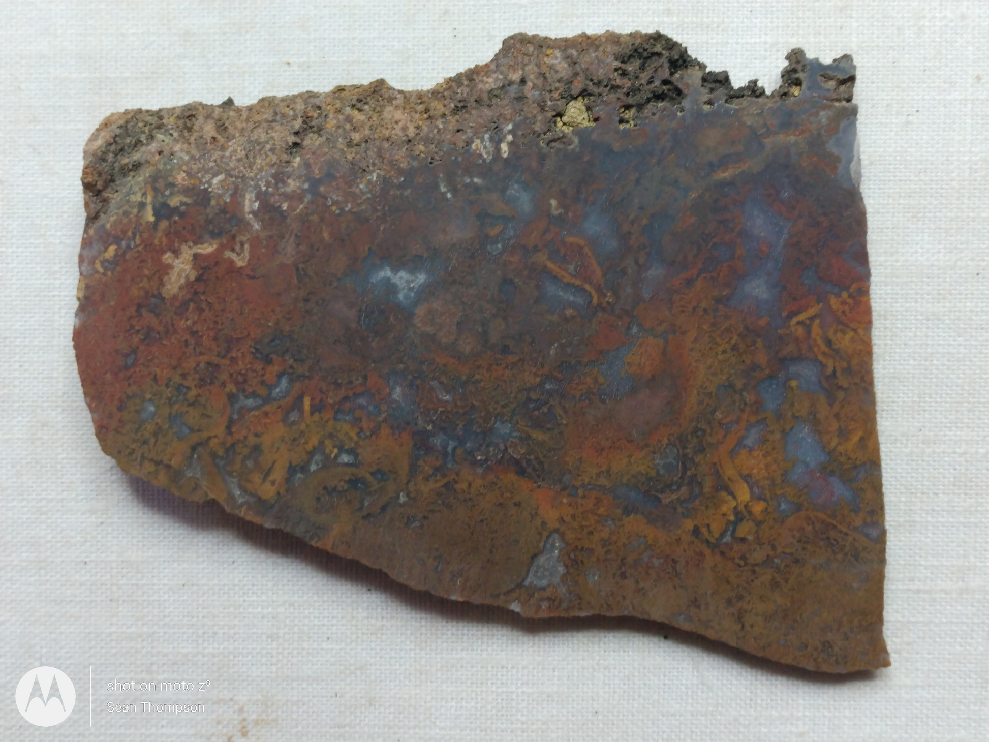 Holt Canyon Moss Agate HC-Bob-x1-00026