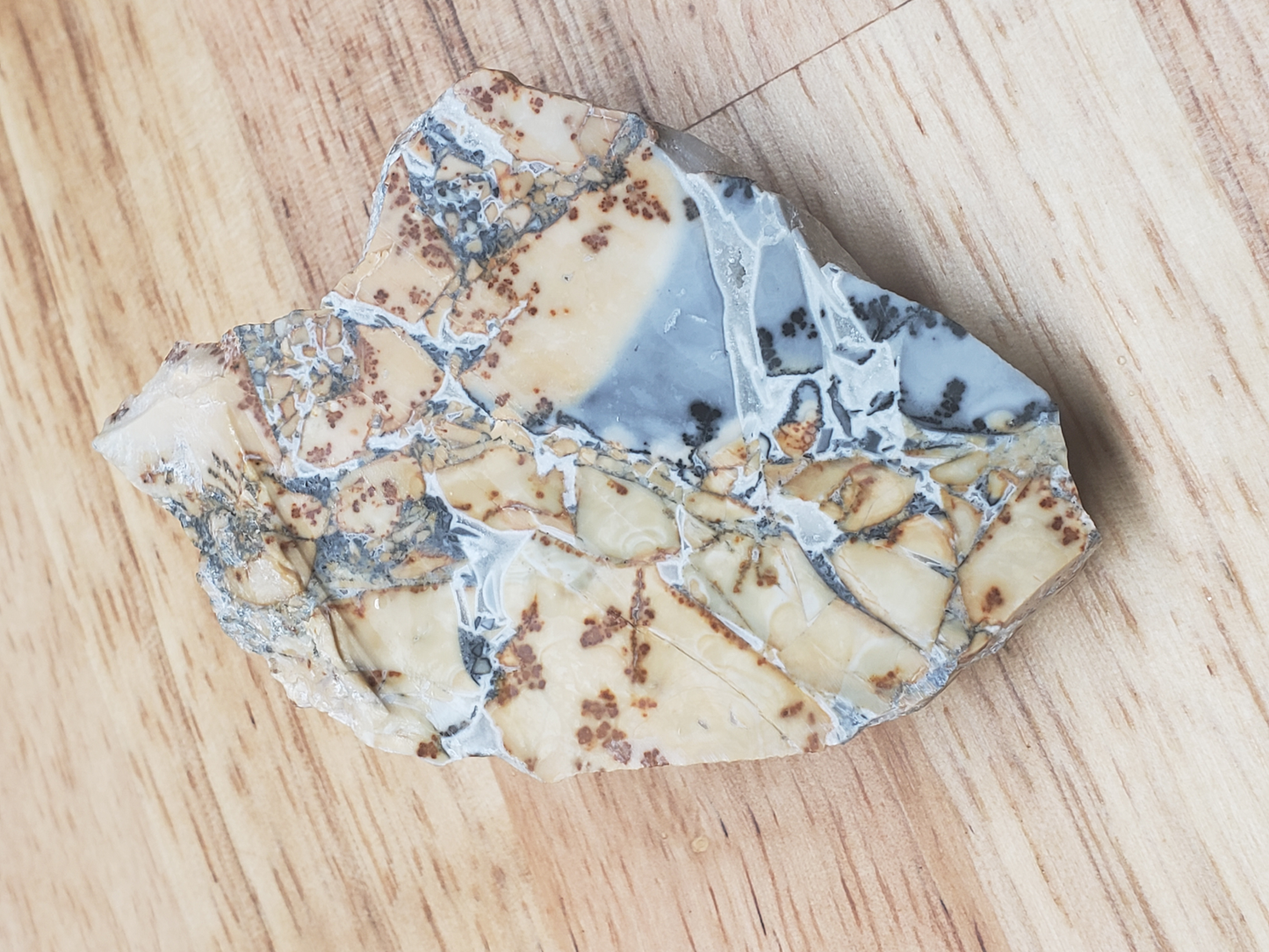 Dendritic Jasper JA-x-00027