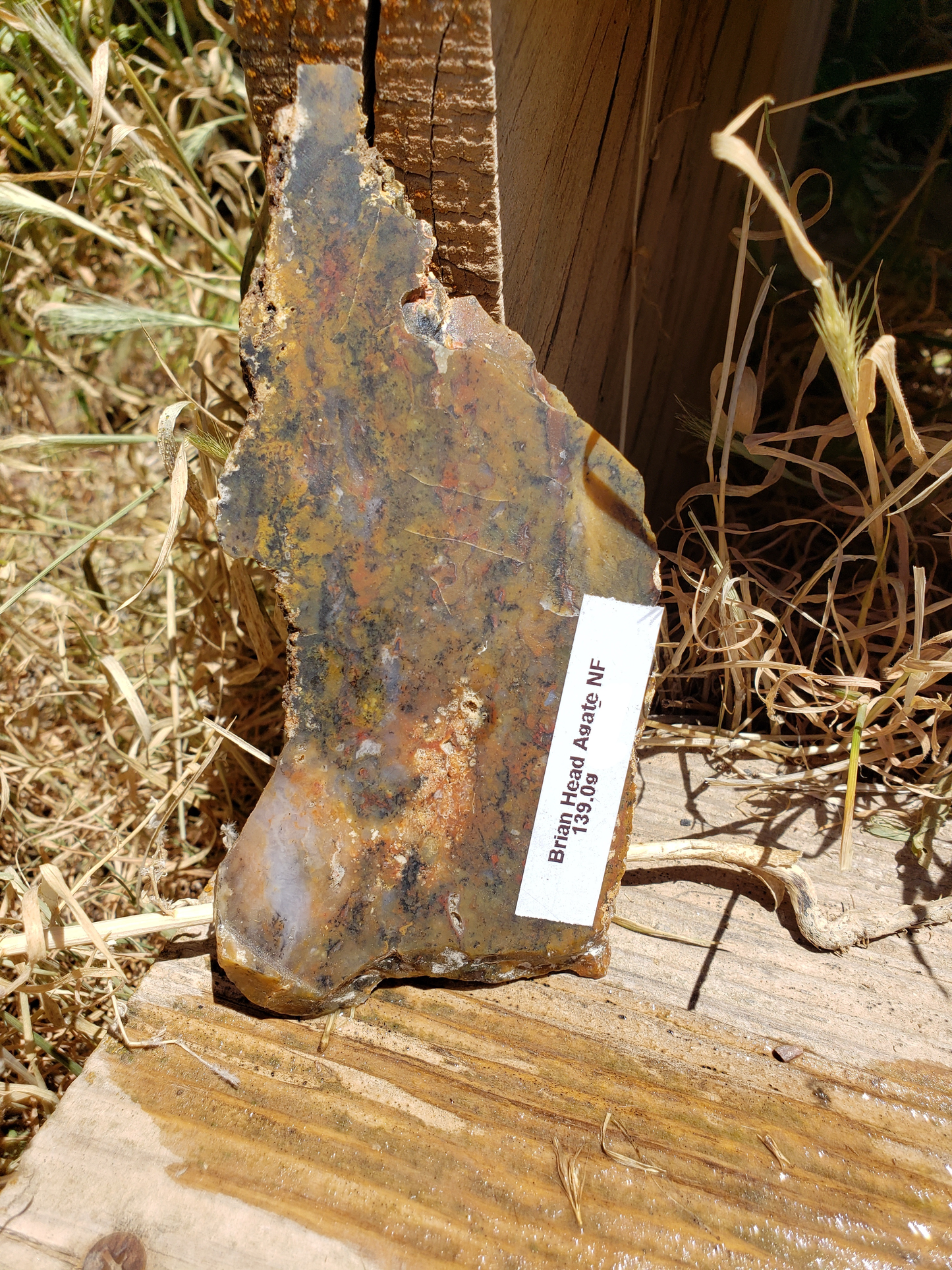 Cedar City Agate AG-x-00002