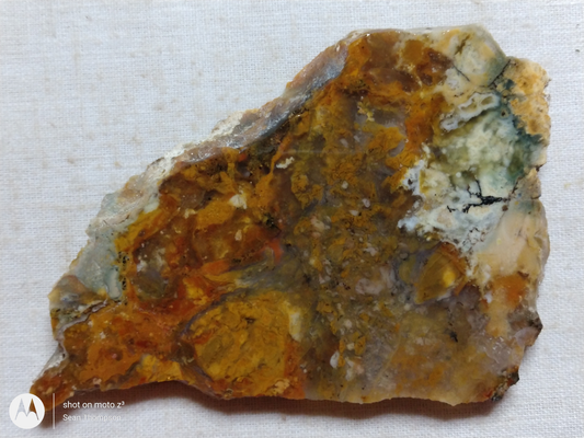 Brian Head Agate BH-00010-24