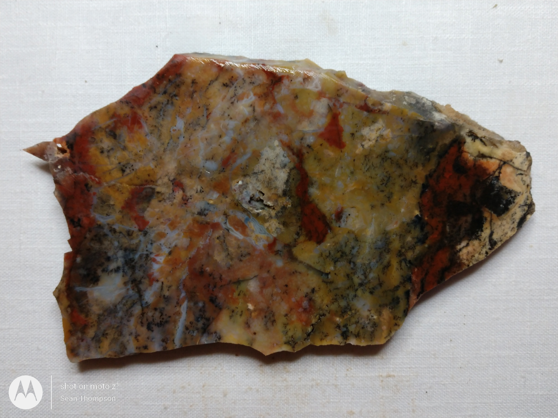 Holt Canyon Agate HC-00015-11