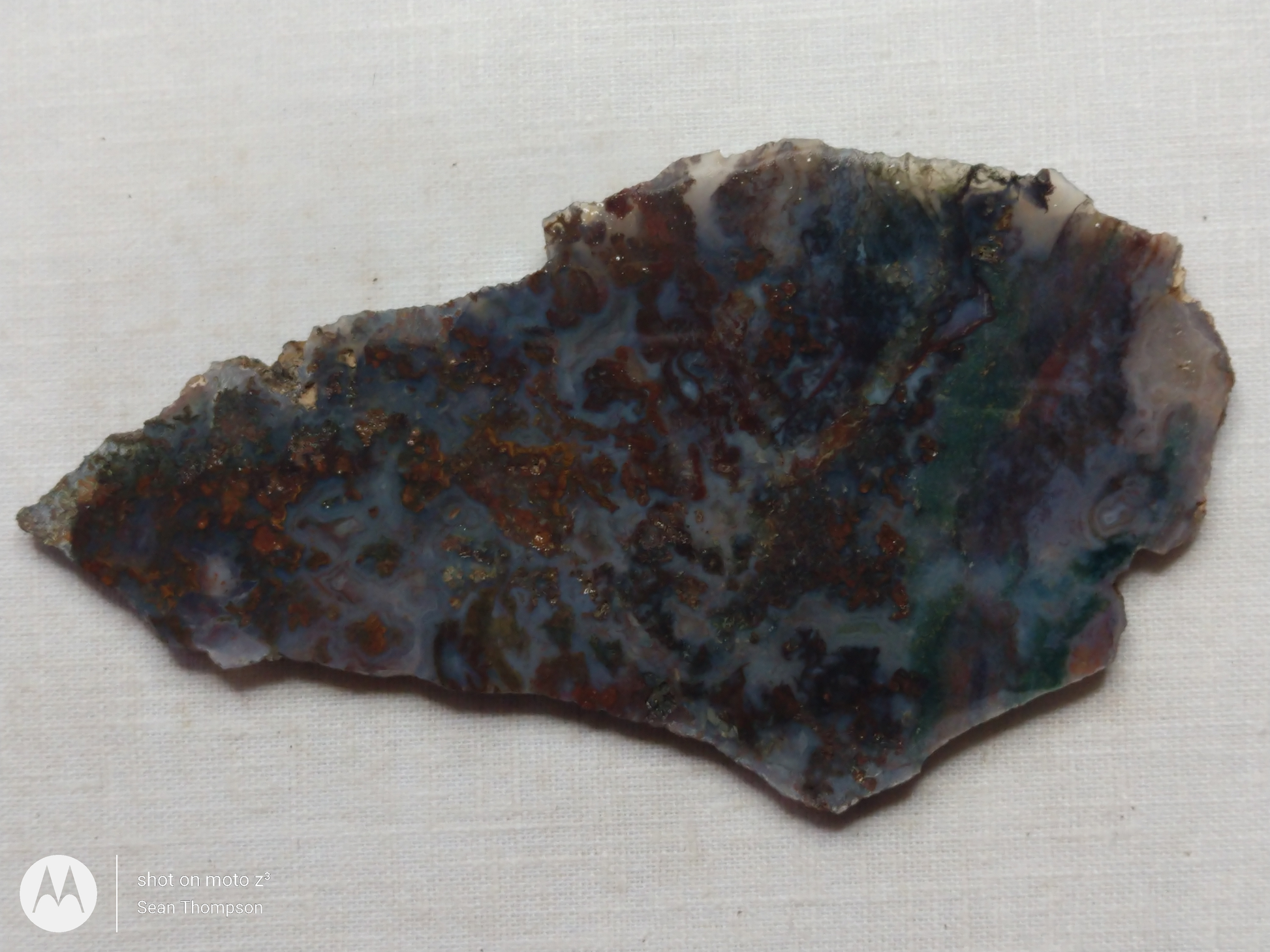 Holt Canyon Moss Agate HC-Bob-x1-00023