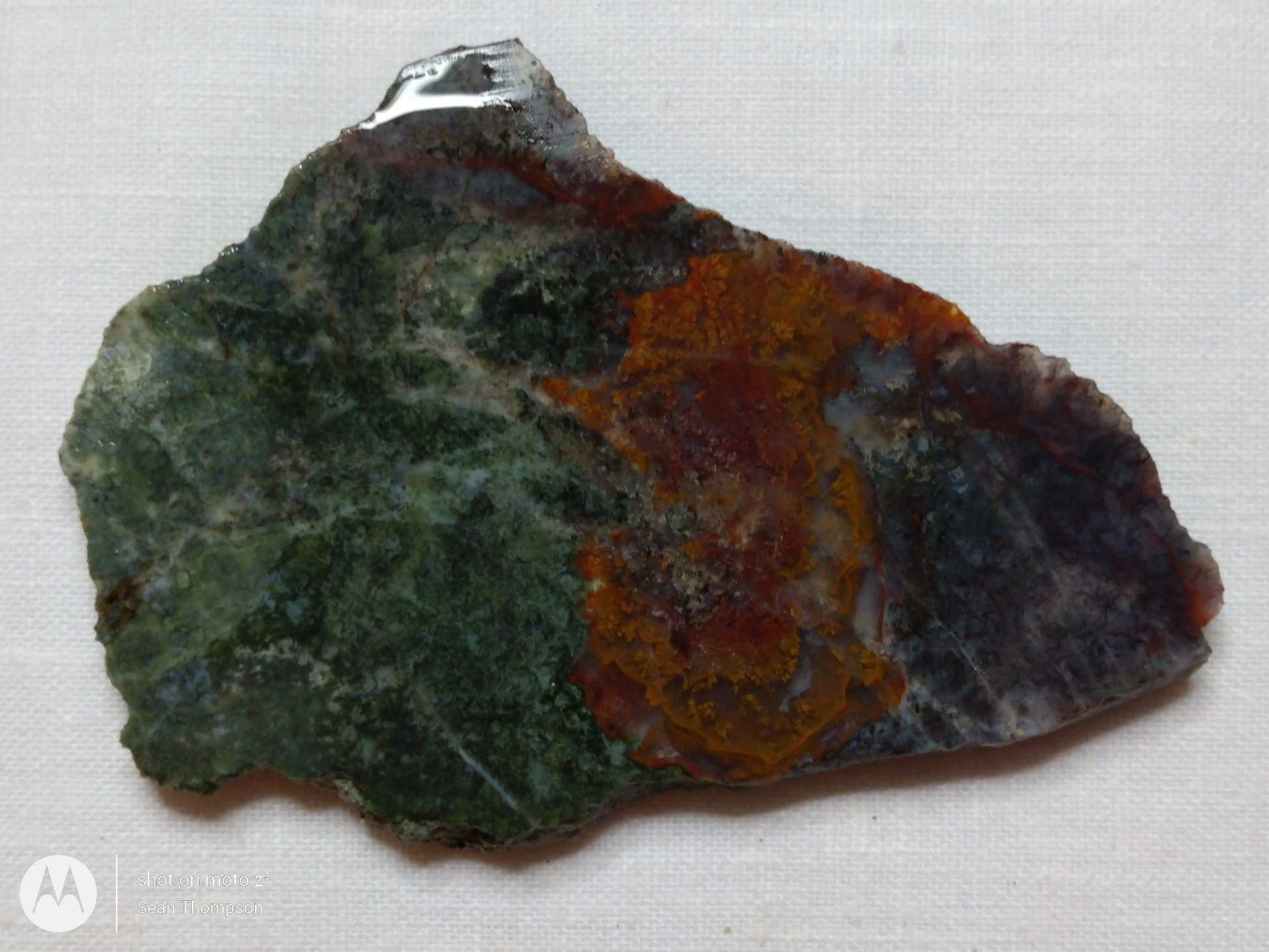 Holt Canyon Moss Agate HC-00013-02