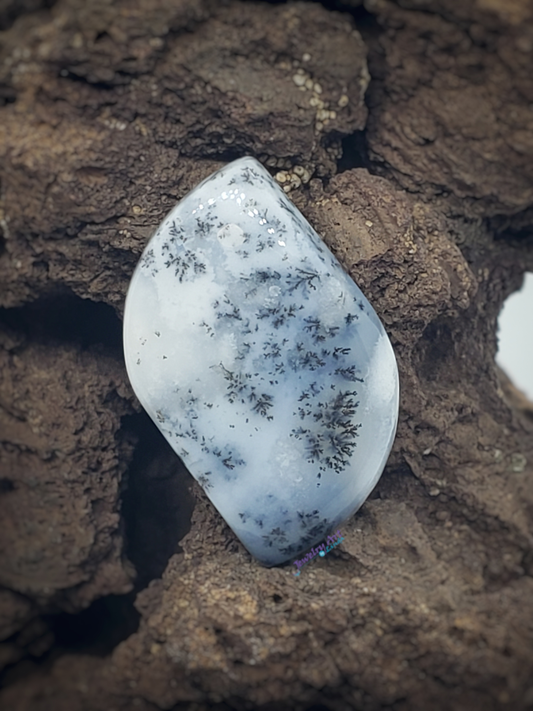 Dendrite Opal AG-x-x-00071