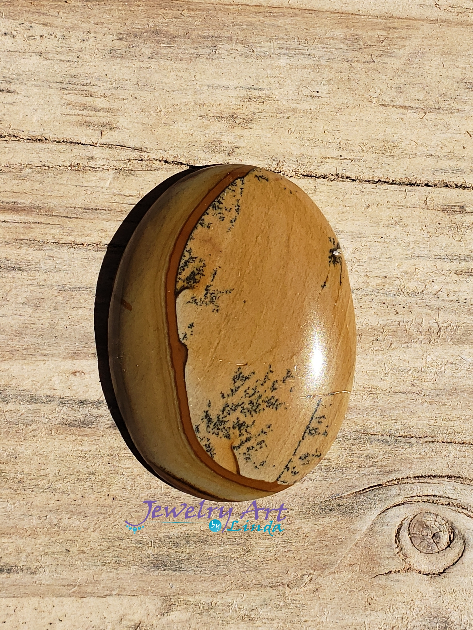 Owyhee Picture Jasper w/dendrites JA-x-x-00013