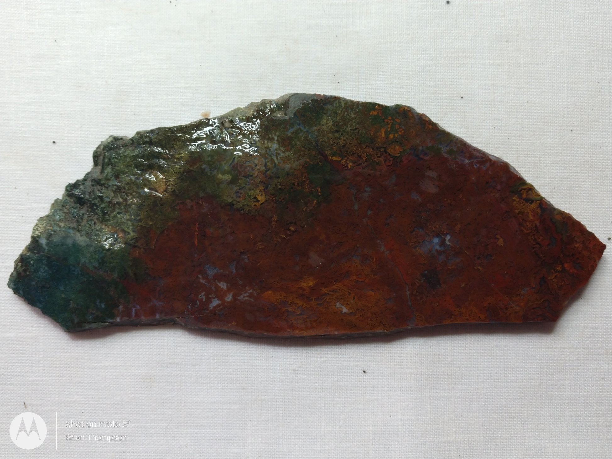 Holt Canyon Moss Agate HC-Bob-x1-00020