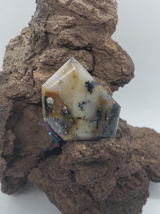 Dendrite Agate AG-x-x-00024