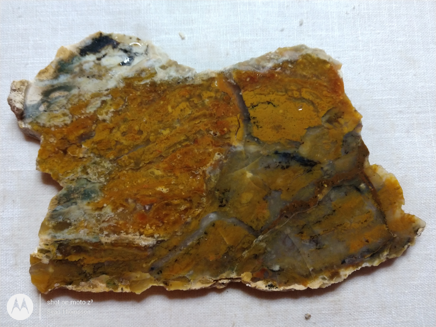 Brian Head Agate BH-00010-32