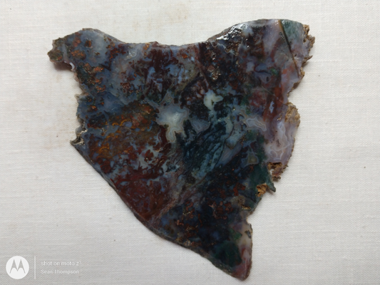 Holt Canyon Moss Agate HC-Bob-x1-00033