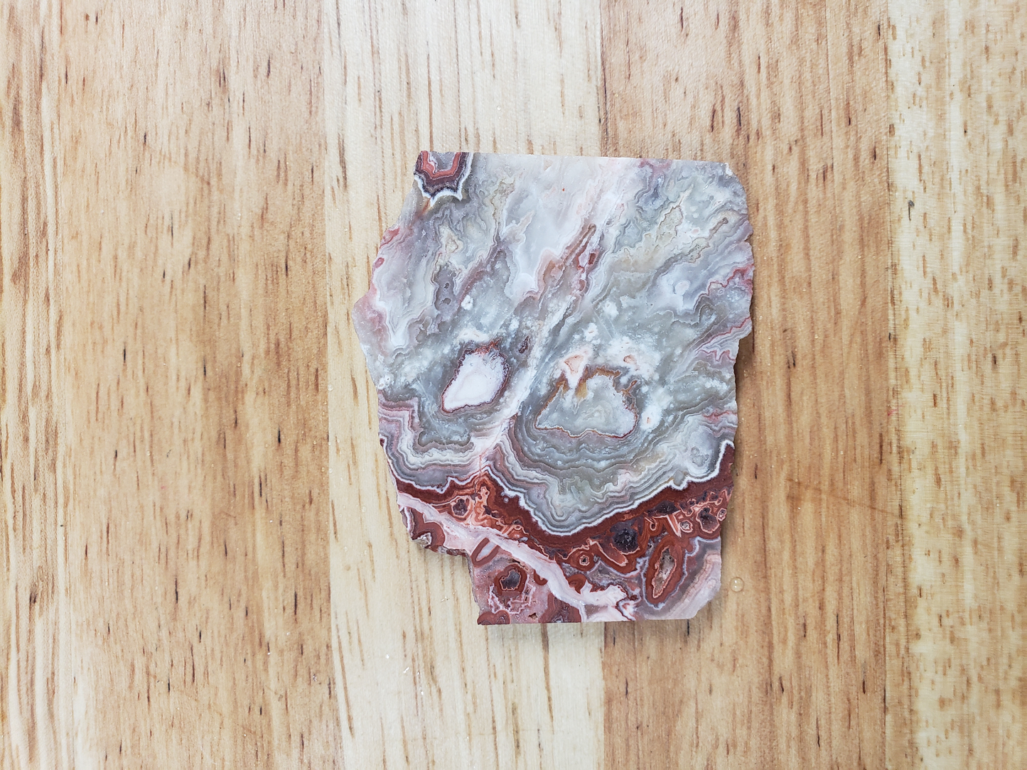 Rosetta Lace Agate AG-x-00059