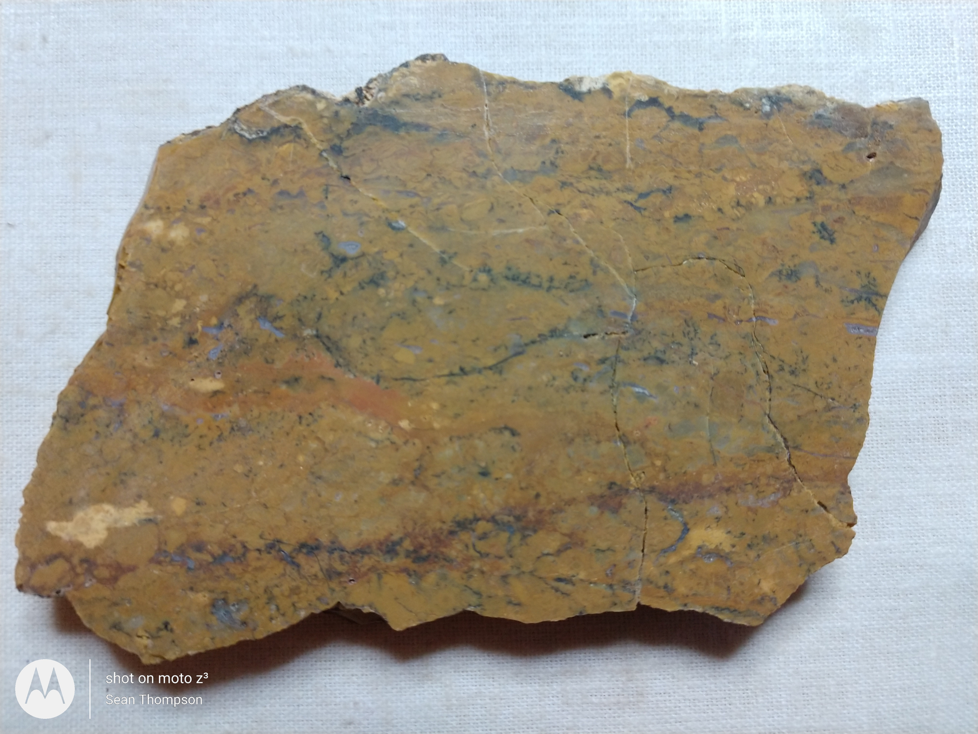 Brian Head Agate BH-00007-11