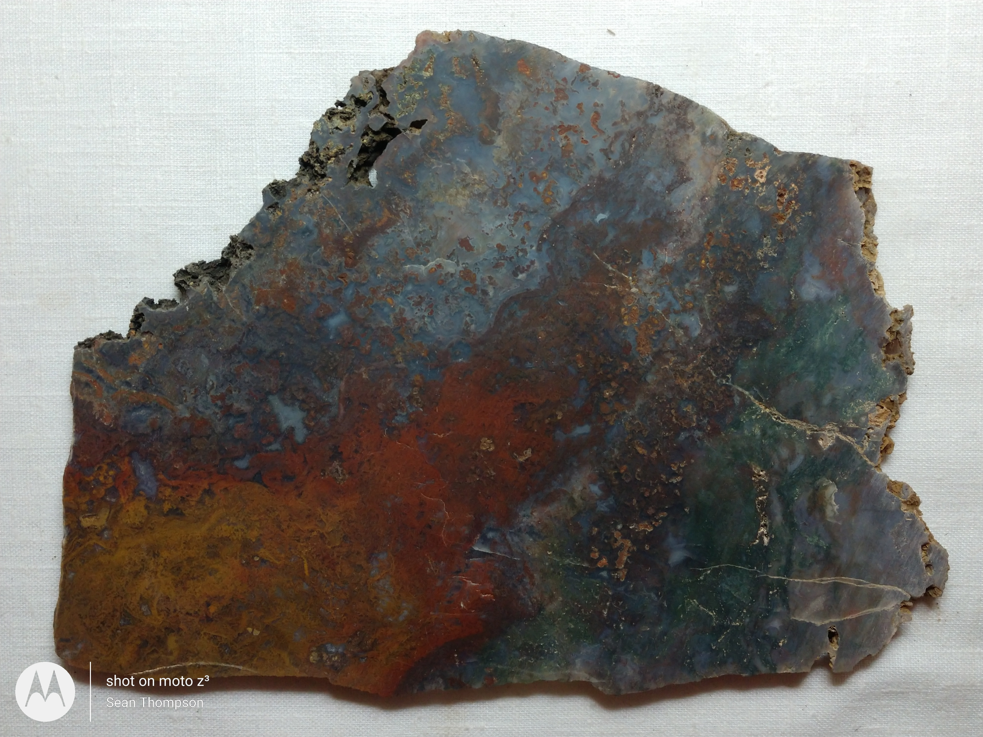 Holt Canyon Moss Agate HC-Bob-x1-00010