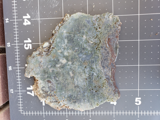 Holt Canyon Moss Agate HC-x-00005