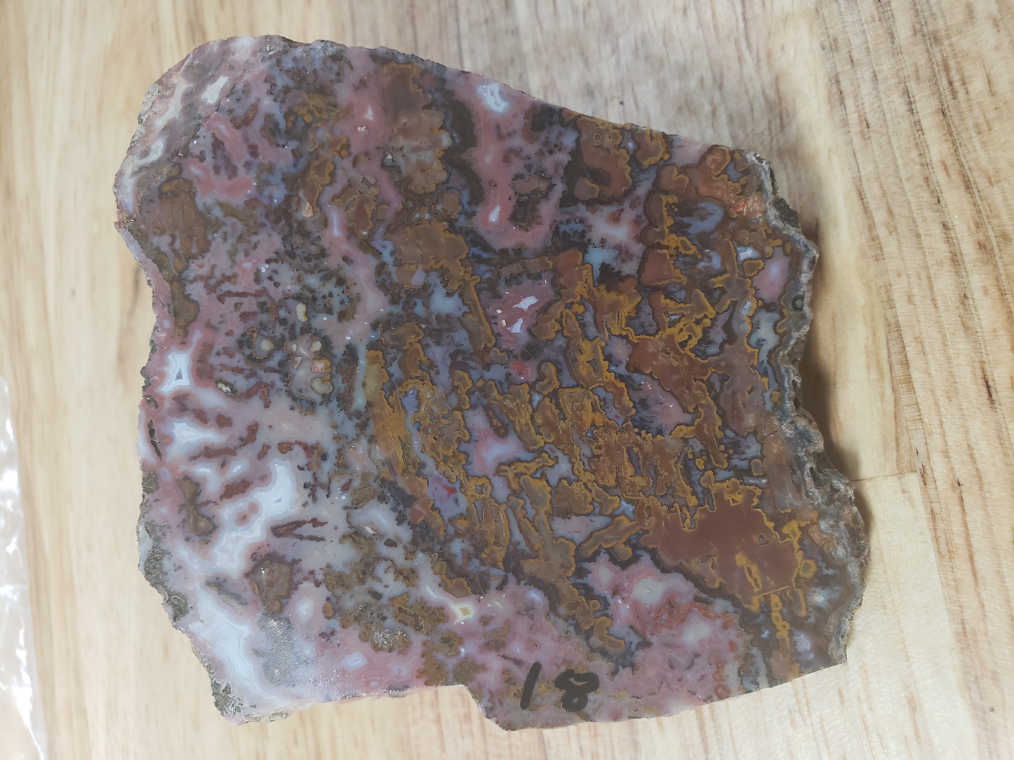 Moroccan Seam Agate AG-x-00037