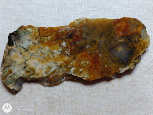 Brian Head Agate BH-00010-19