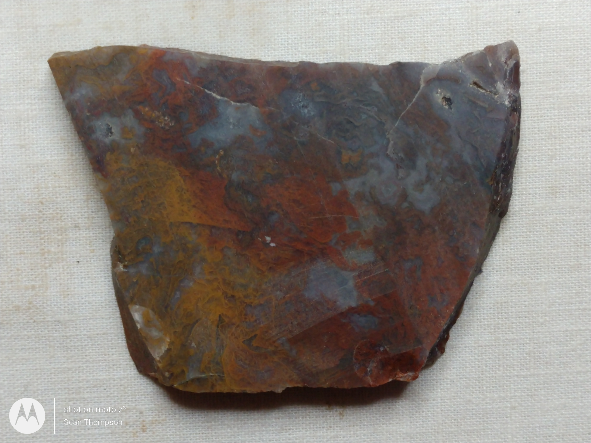 Holt Canyon Moss Agate HC-Bob-x1-00040