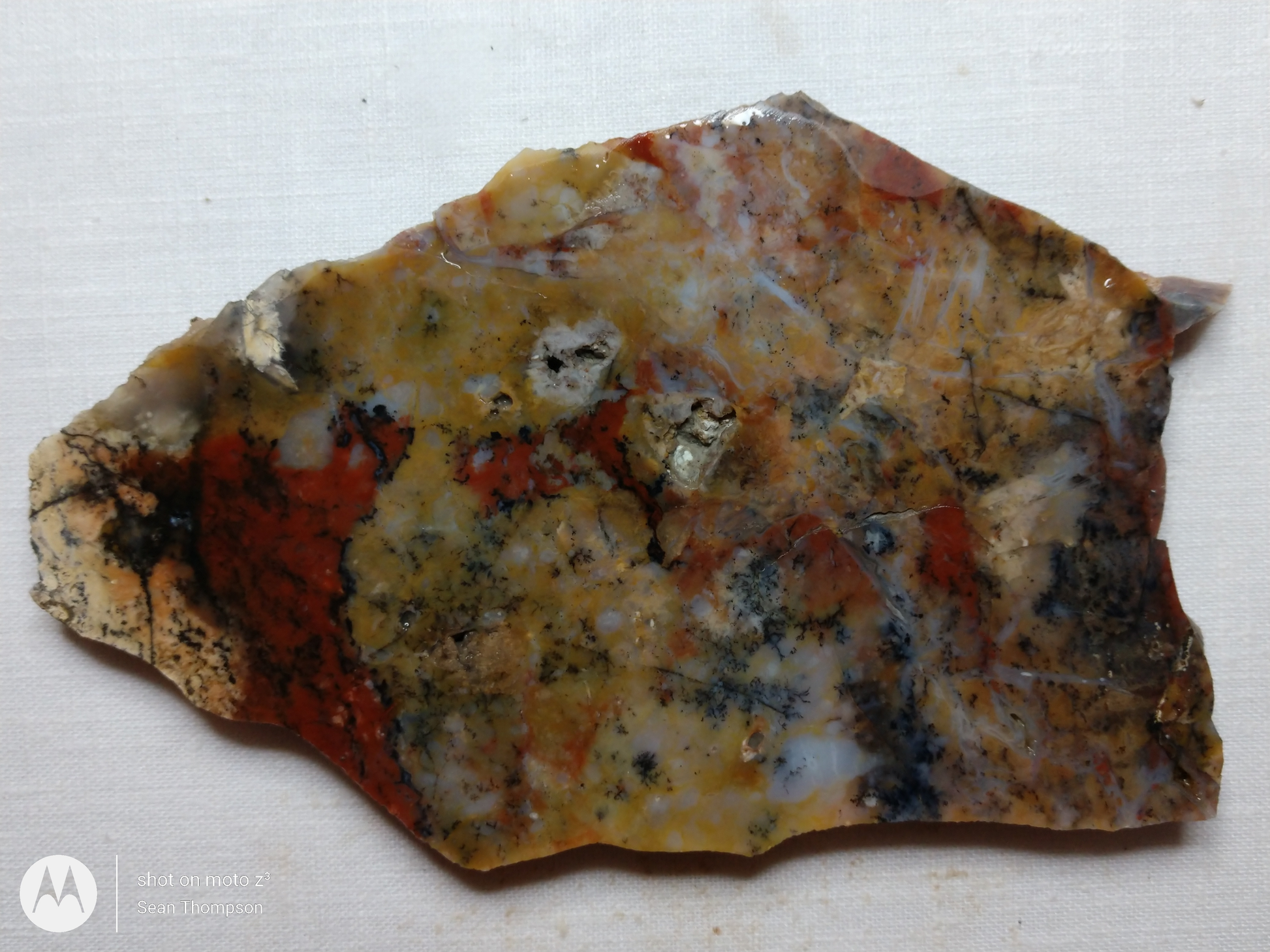 Holt Canyon Agate HC-00015-11