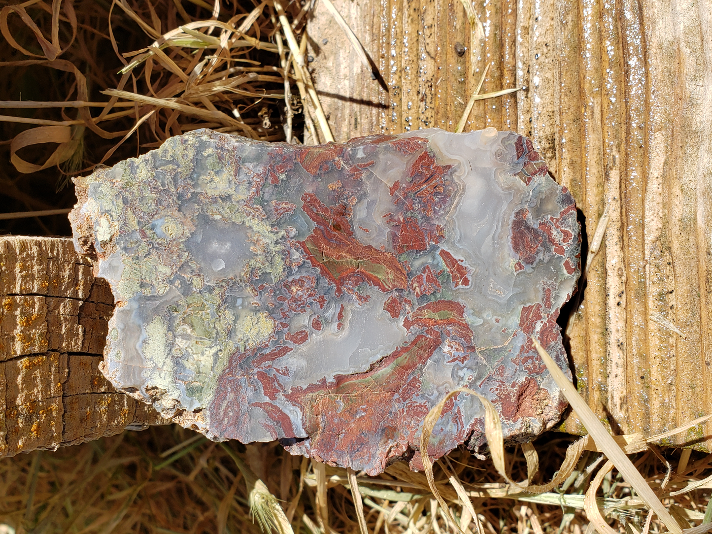 Holt Canyon Agate HC-x-00006