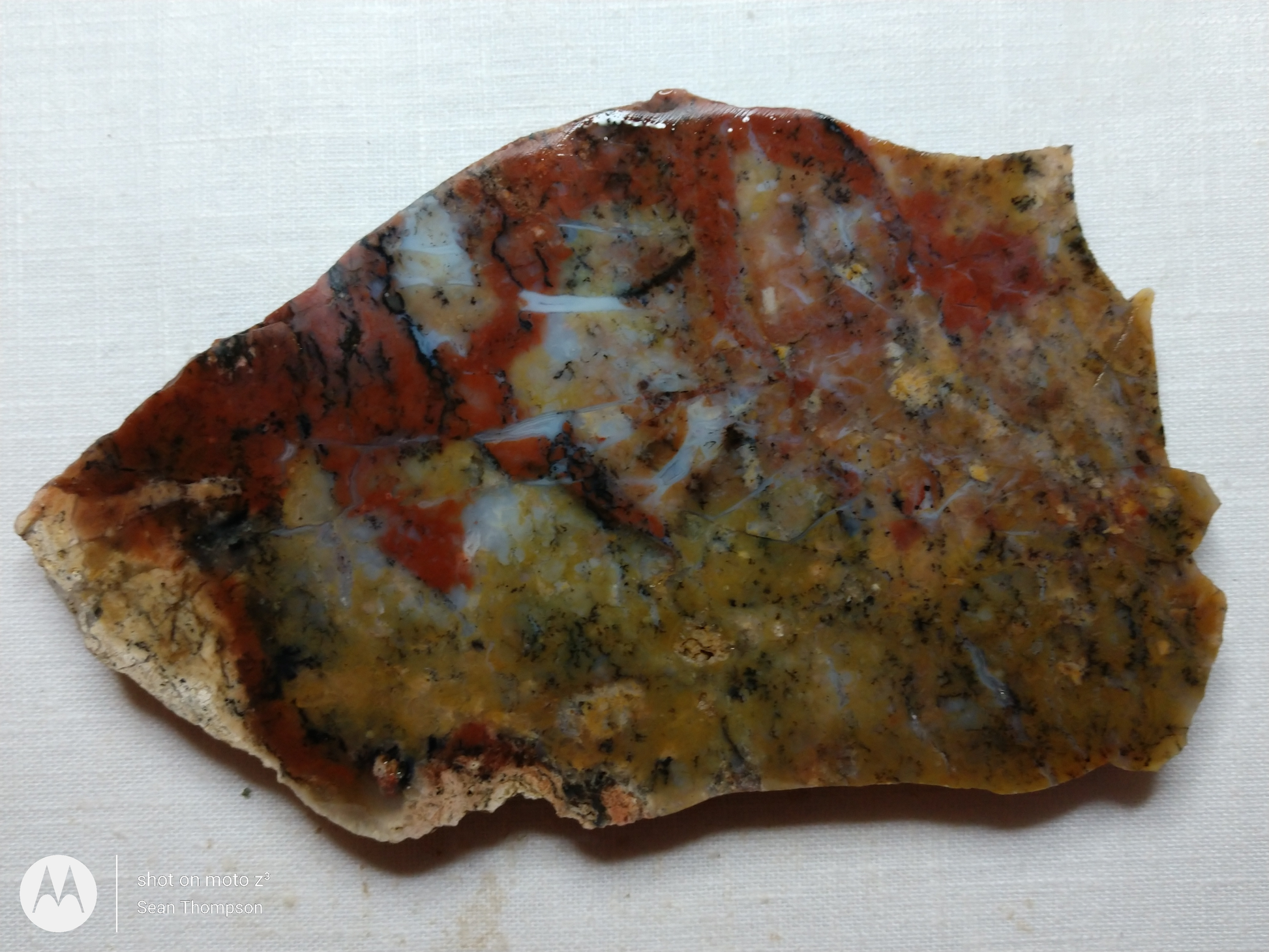 Holt Canyon Agate HC-00015-10