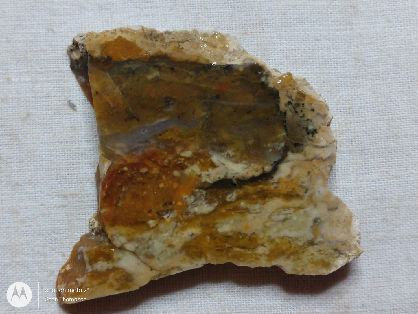 Brian Head Agate BH-00010-01