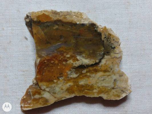 Brian Head Agate BH-00010-01