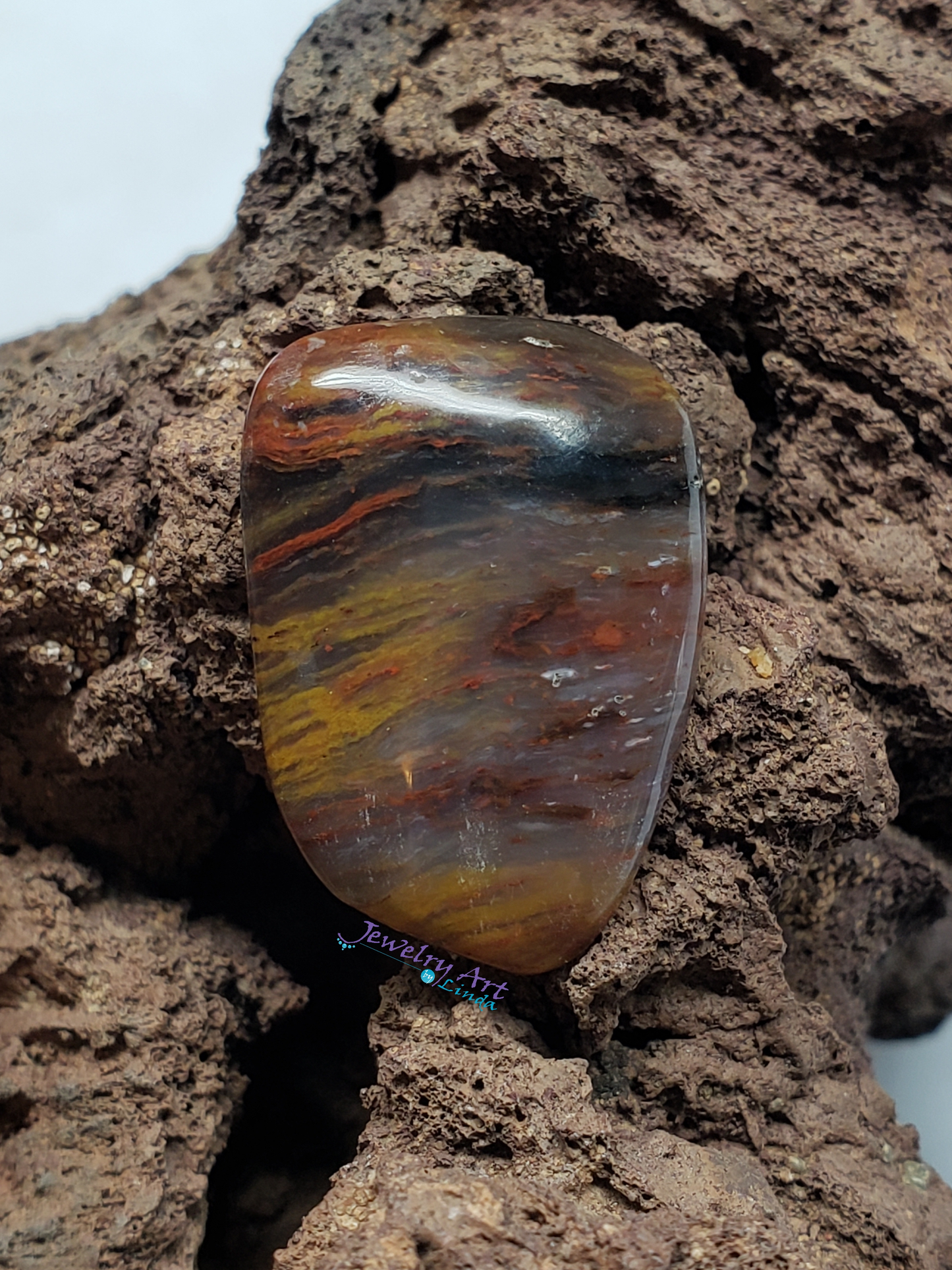 Petrified Wood PW-00003-02-02