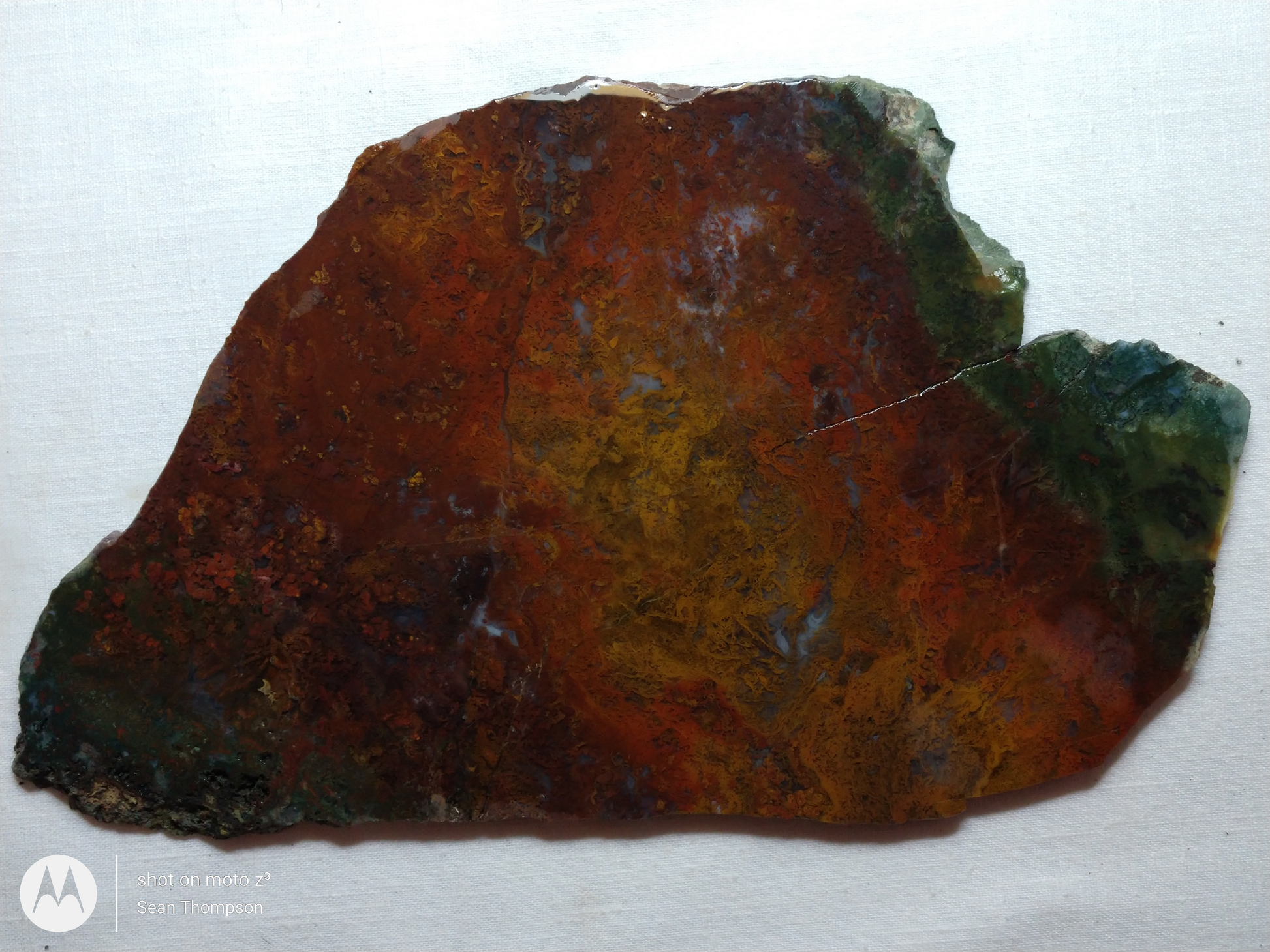 Holt Canyon Moss Agate HC-Bob-x1-00008