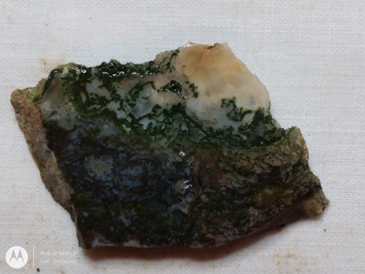 Holt Canyon Moss Agate HC-00014-05