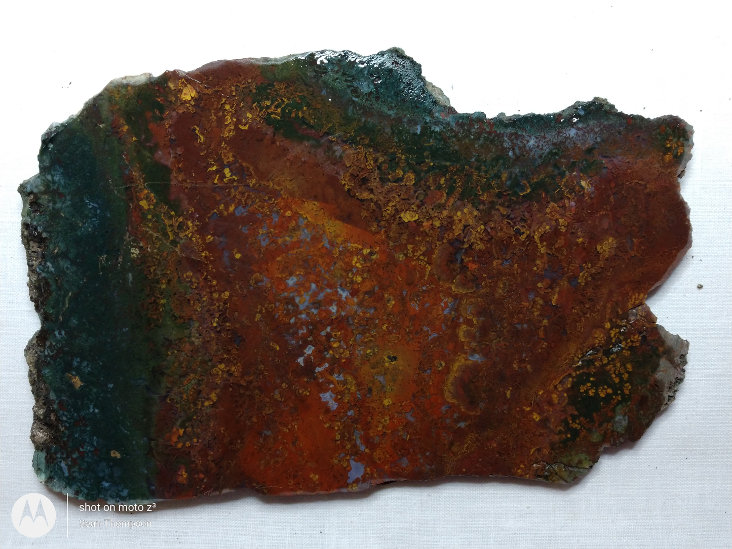 Holt Canyon Moss Agate HC-Bob-x1-00035