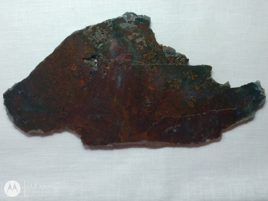 Holt Canyon Moss Agate HC-Bob-x1-00013