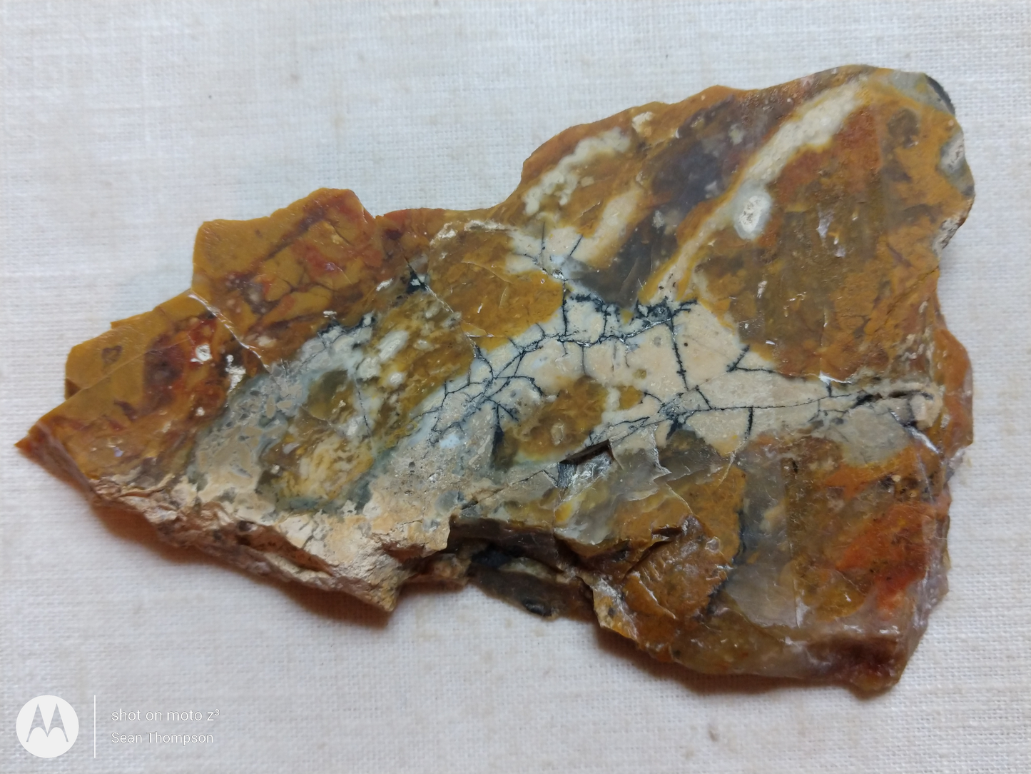 Brian Head Agate BH-00010-12