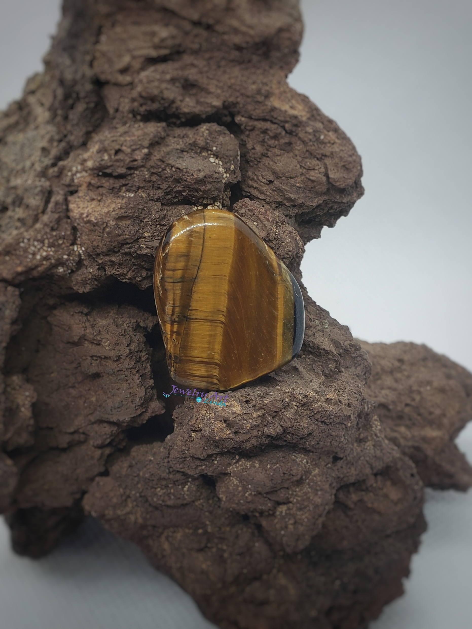 Tigers eye OT-x-x-00078