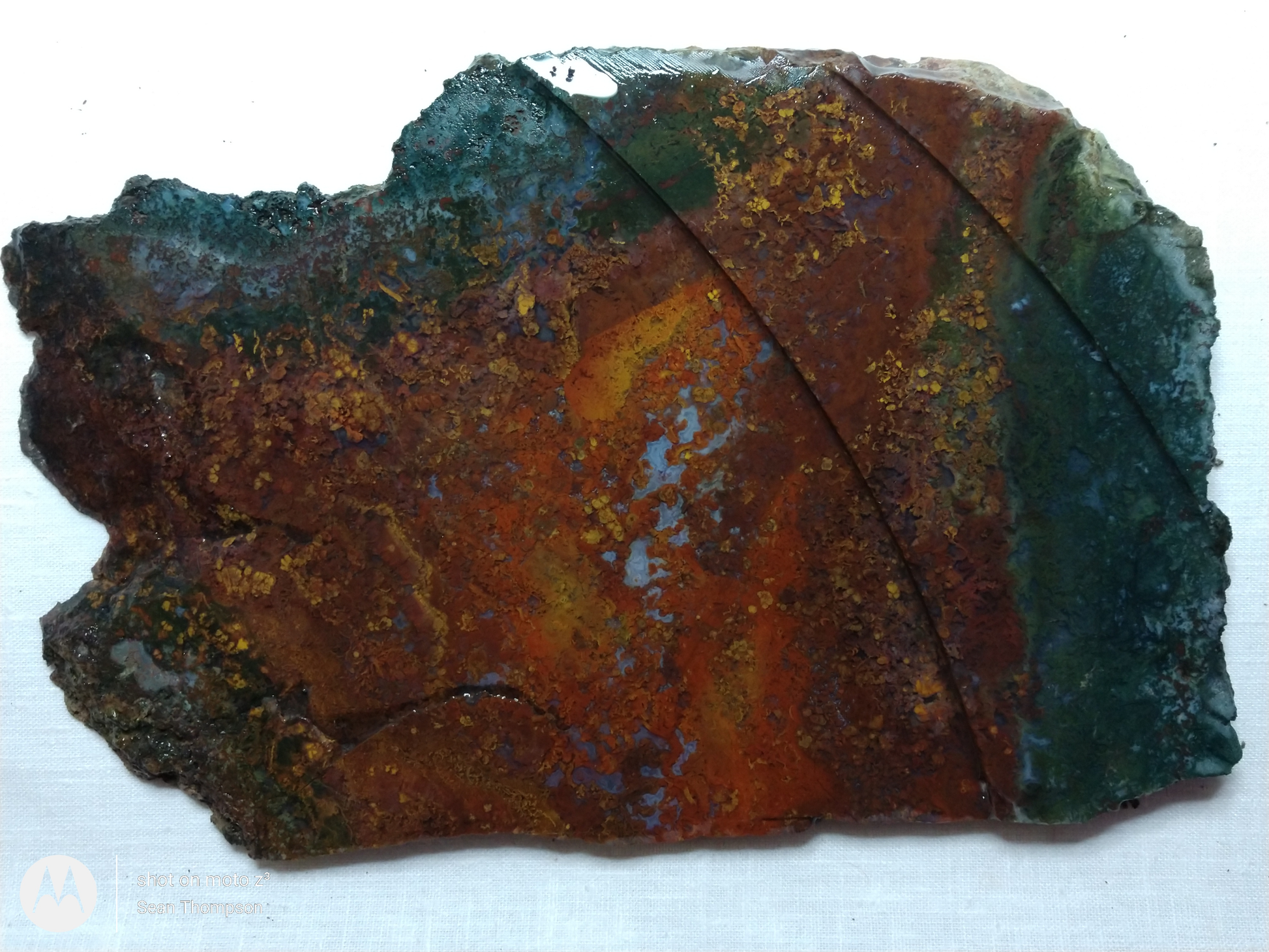 Holt Canyon Moss Agate HC-Bob-x1-00035