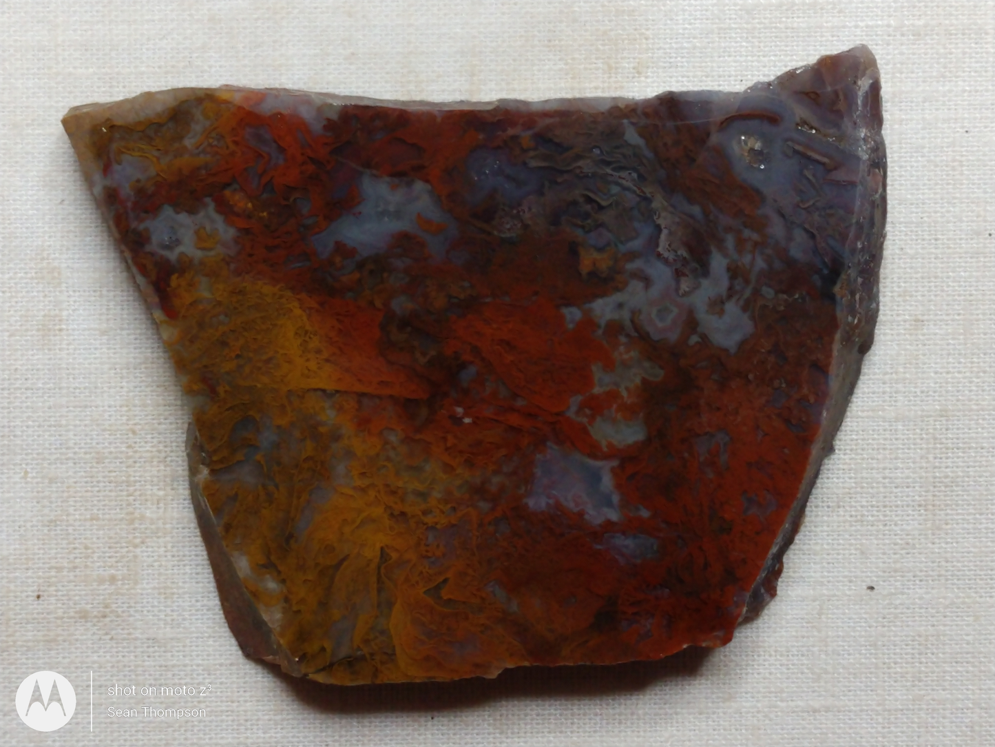 Holt Canyon Moss Agate HC-Bob-x1-00040